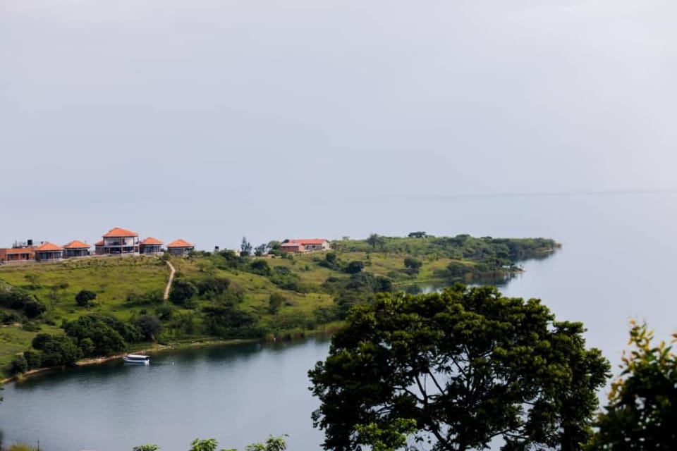Lake view