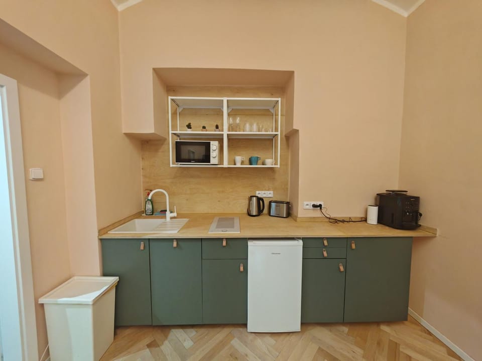 Spacious, Light Studio Apartment in Vinohrady Apartment in Prague