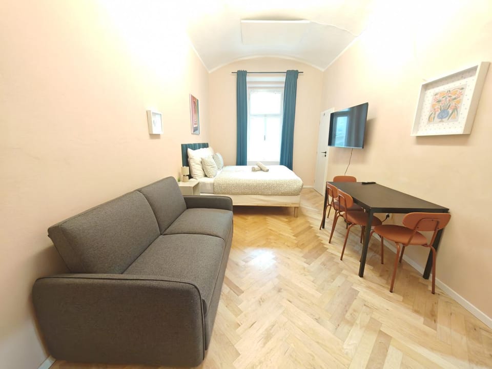Spacious, Light Studio Apartment in Vinohrady Apartment in Prague