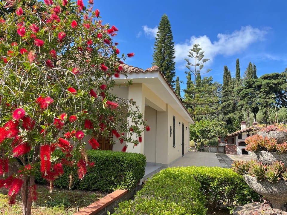 Property building, Garden view