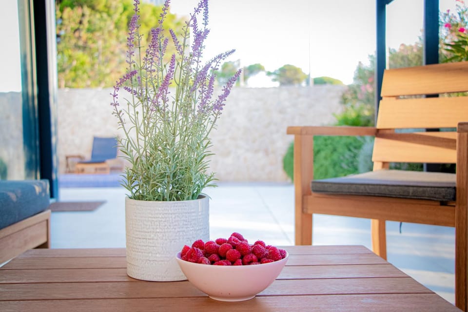Garden, Seating area, Garden view