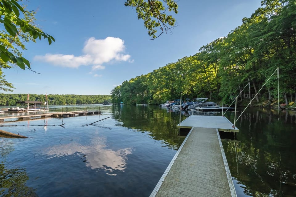 Natural landscape, Garden, Garden view, Lake view