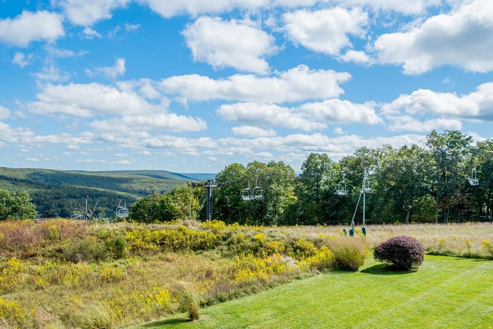 Natural landscape, Garden, Ski School, Skiing, Mountain view