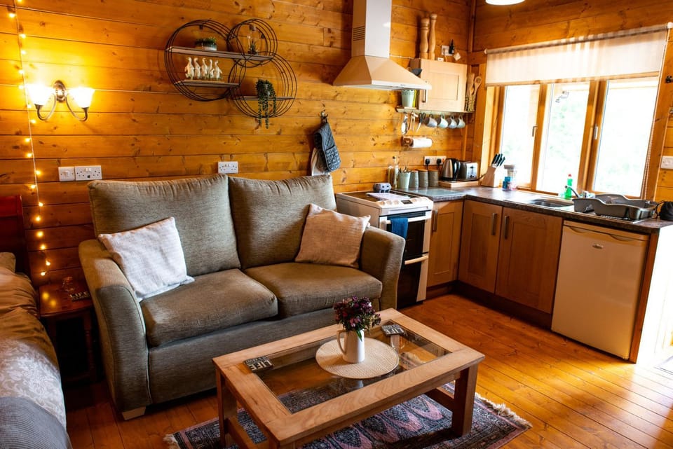 Living room, kitchen