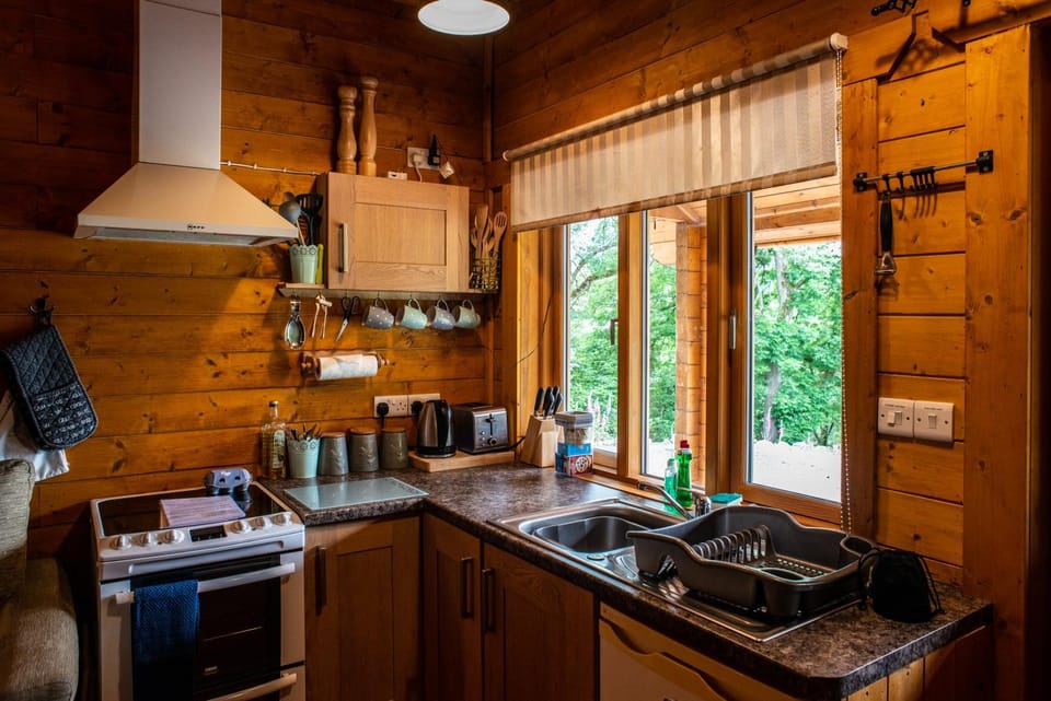 Kitchen or kitchenette, kitchen, kitchen