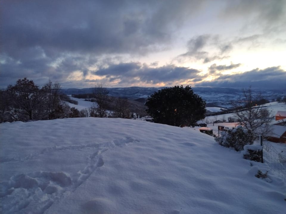 Winter