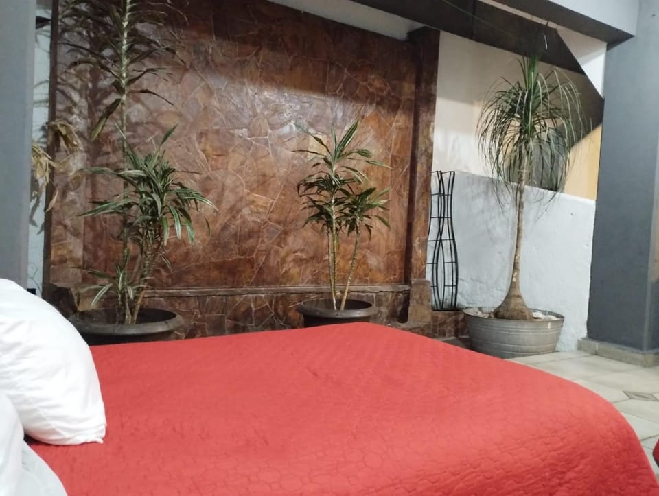 Gran México Bed and Breakfast in Mexico City