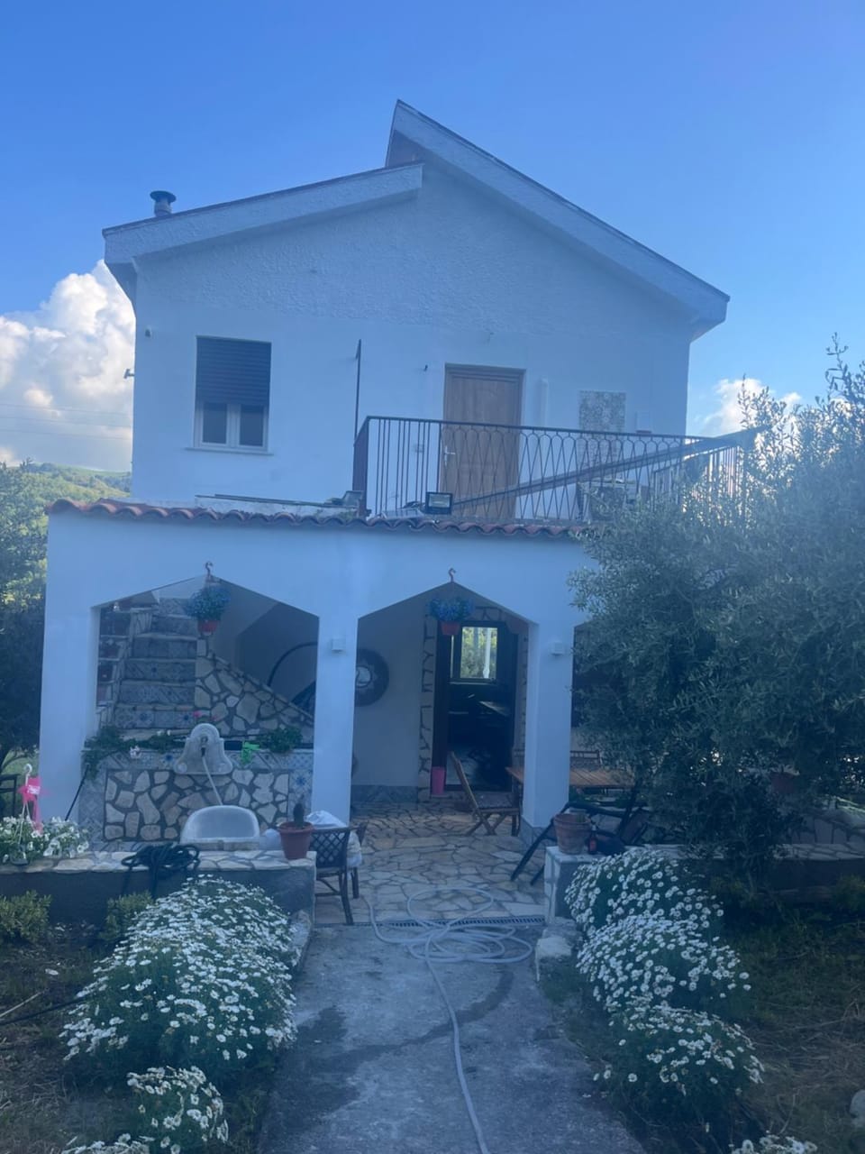 Villetta con Oliveto CFG House in Sicily