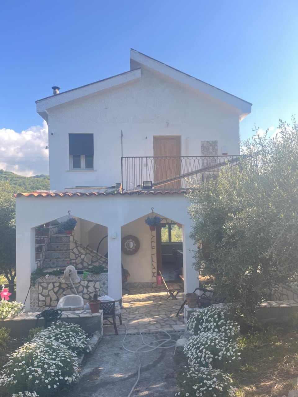 Villetta con Oliveto CFG House in Sicily