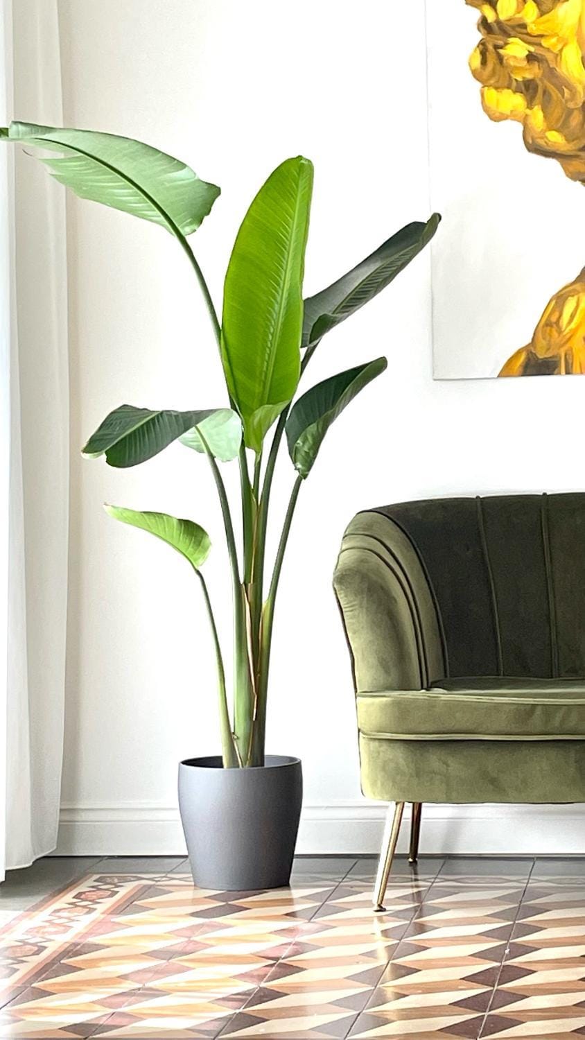 Living room, Decorative detail