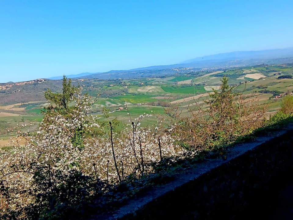 Bird's eye view, View (from property/room), Garden view