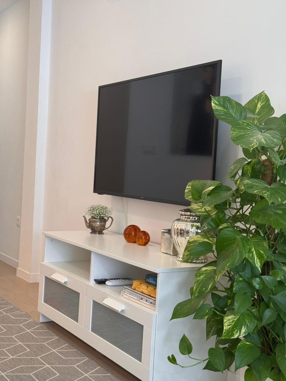 TV and multimedia