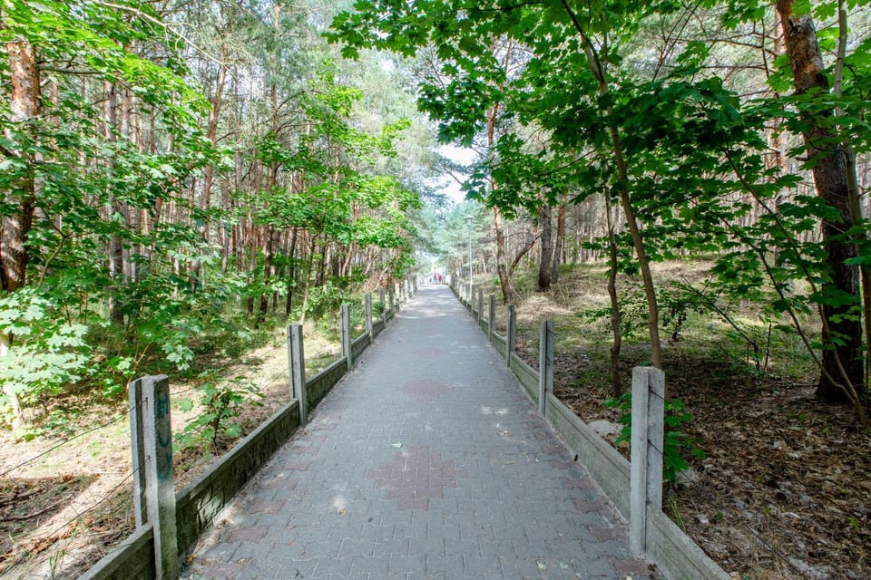 Natural landscape