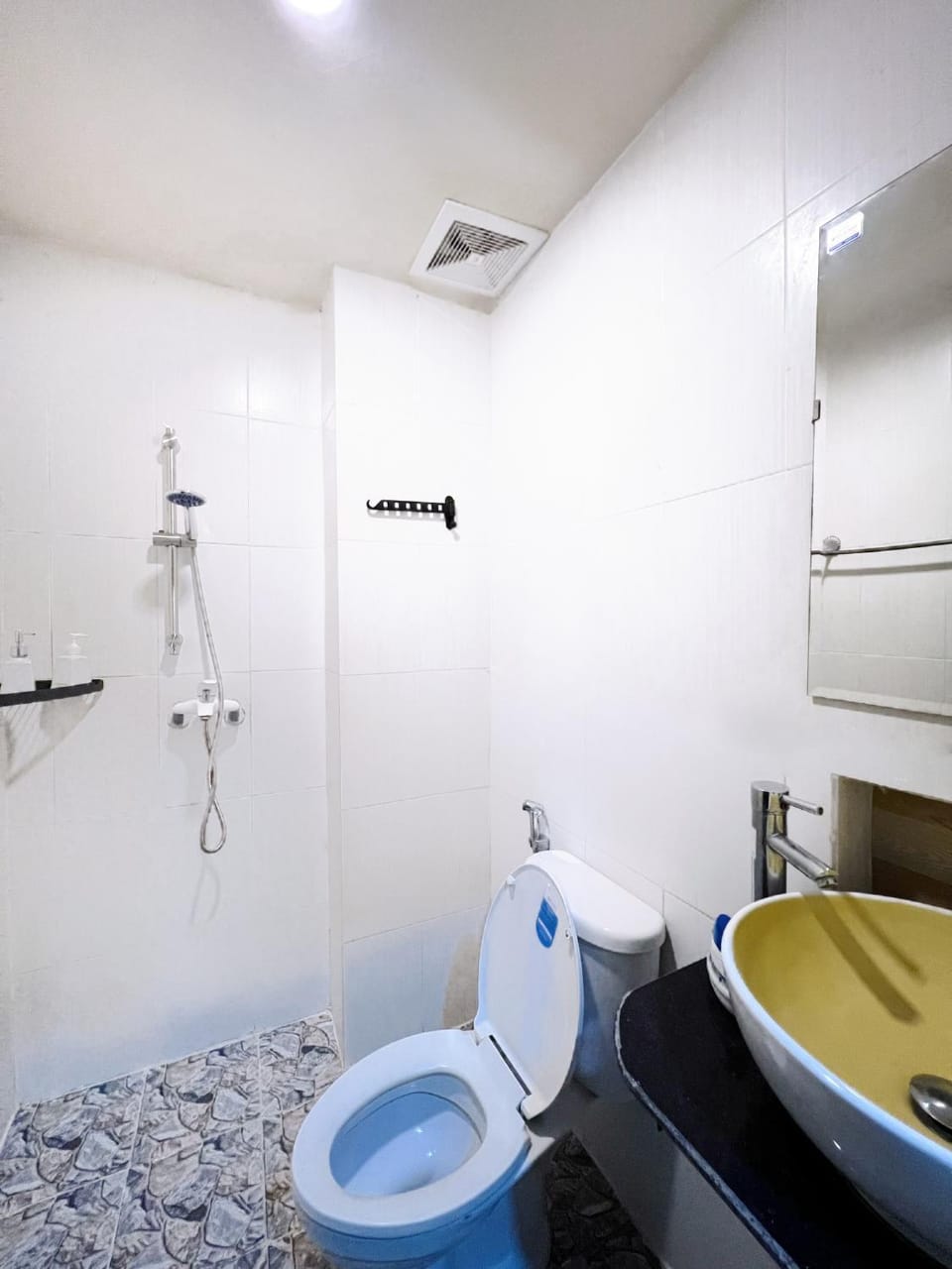 Shower, Toilet, Bathroom, Bath