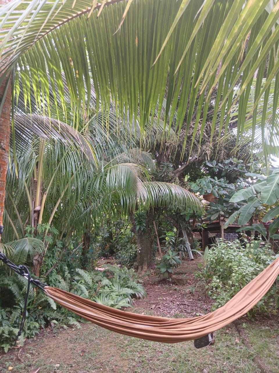 Shuit Bambou House in La Trinité