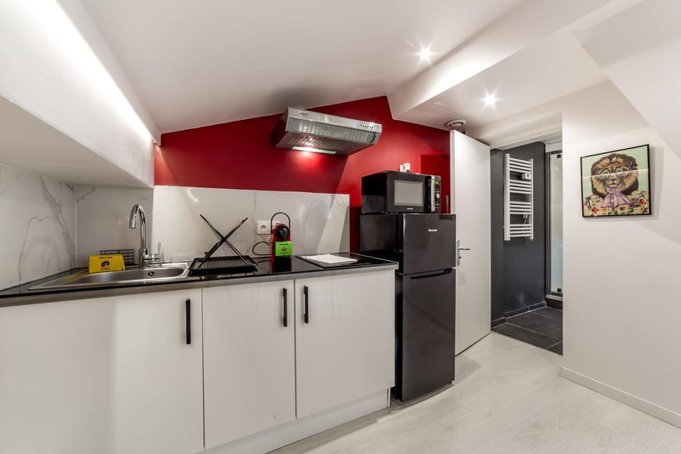 AllinLyon | Studio central – place des Célestins Apartment in Lyon