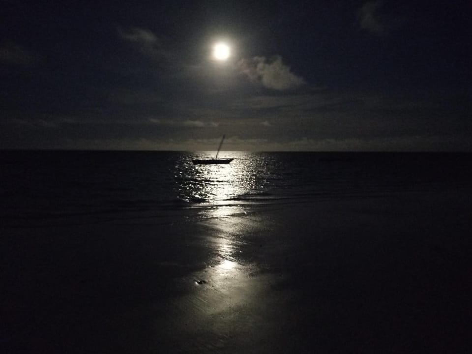 Night