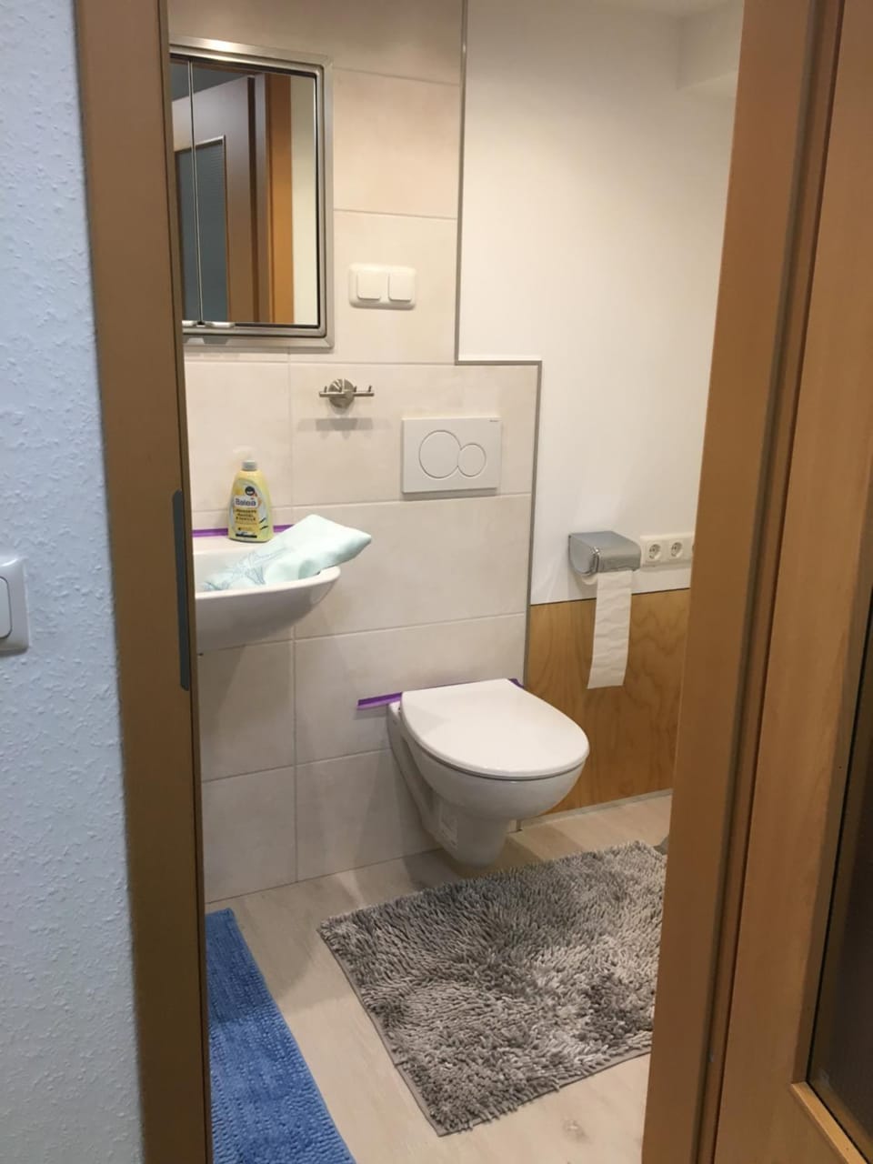 Toilet, Bathroom