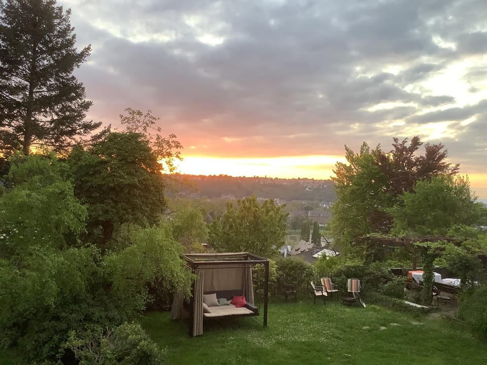 Garden, Sunset
