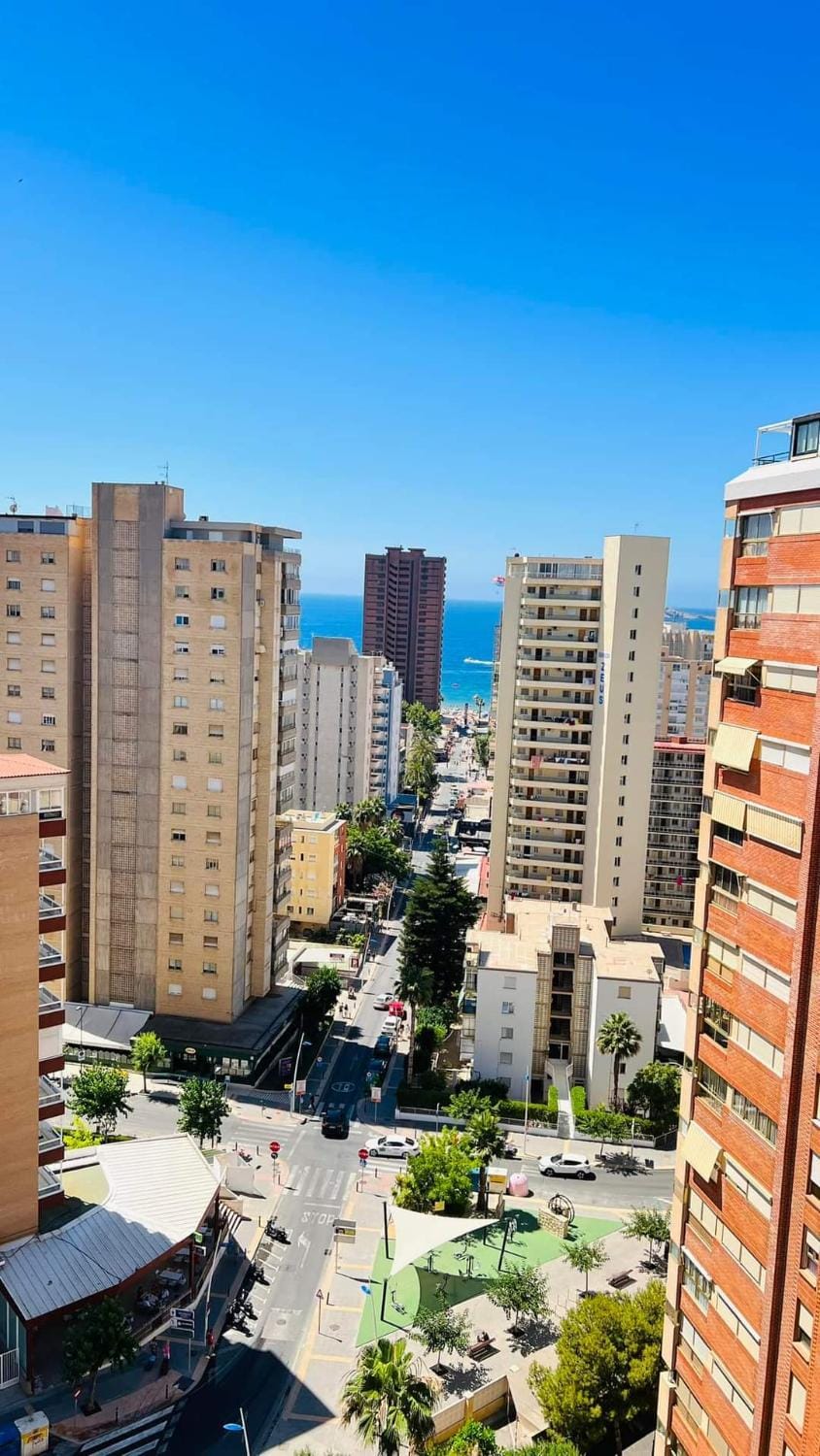 Neighbourhood, City view, Street view