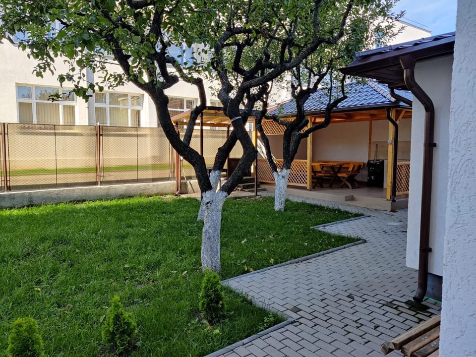 Patio, Garden, Garden view