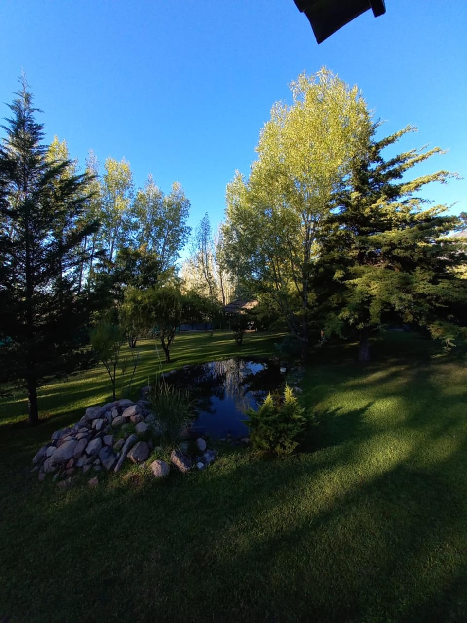 Garden view