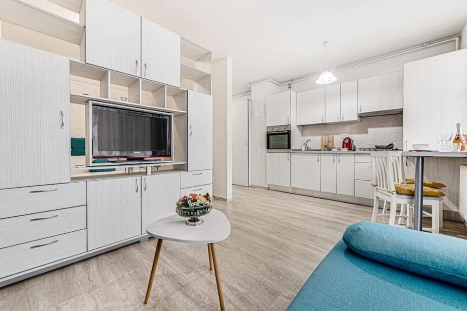 Dodi Studio Apartment in Timiș County