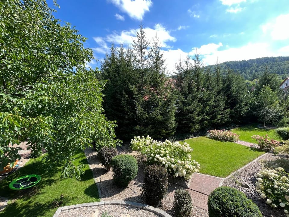 Spring, Day, Natural landscape, Garden, Garden view, Mountain view