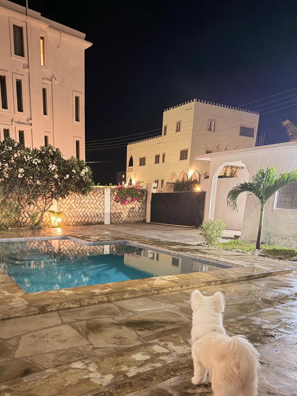 The White Villa Watamu by the sea Villa in Kenya