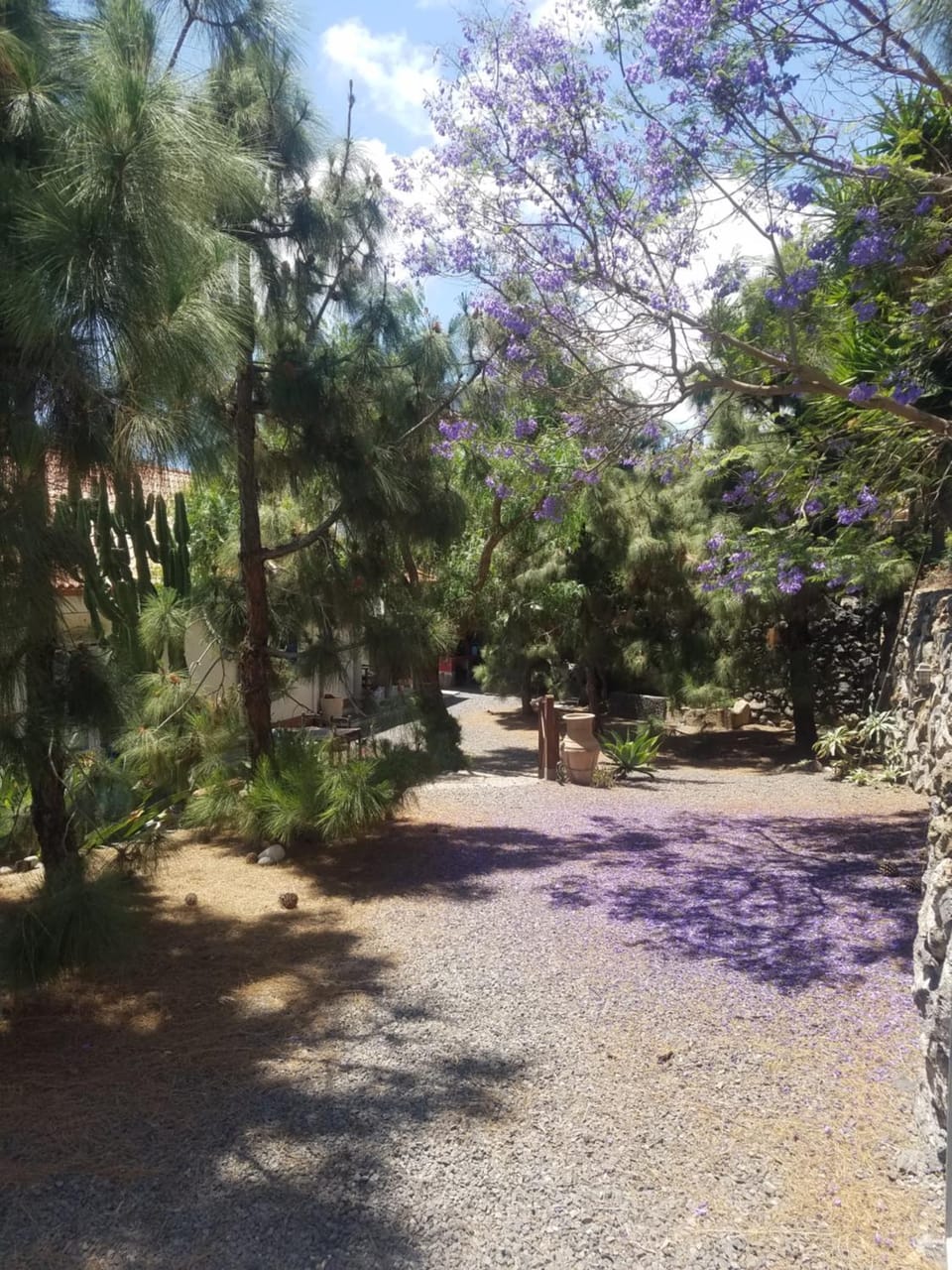 Spring, Day