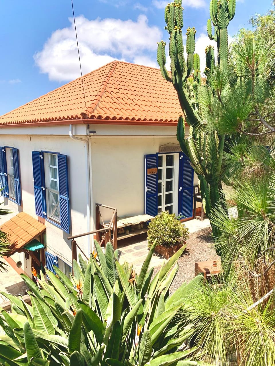 Property building, Day