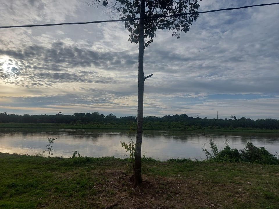 River view
