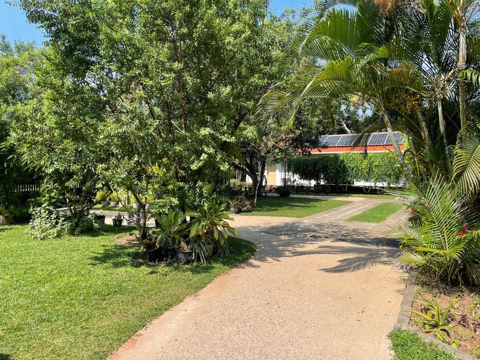 Garden view