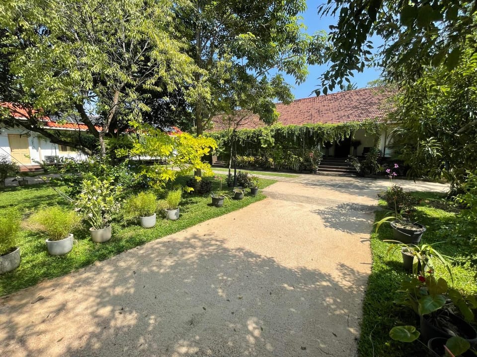 Garden view