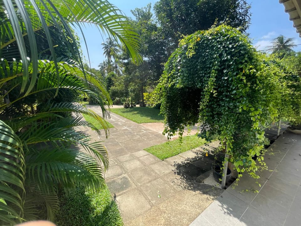 Garden view