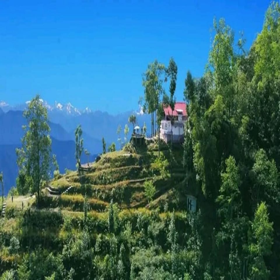 Mountain view