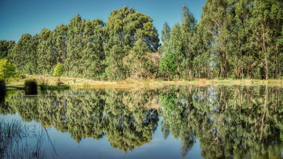 Natural landscape