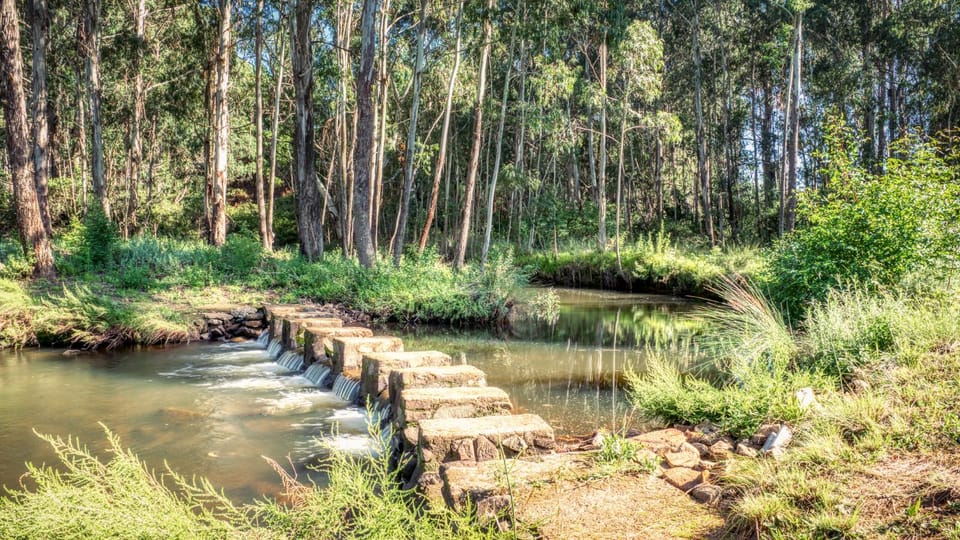 Natural landscape