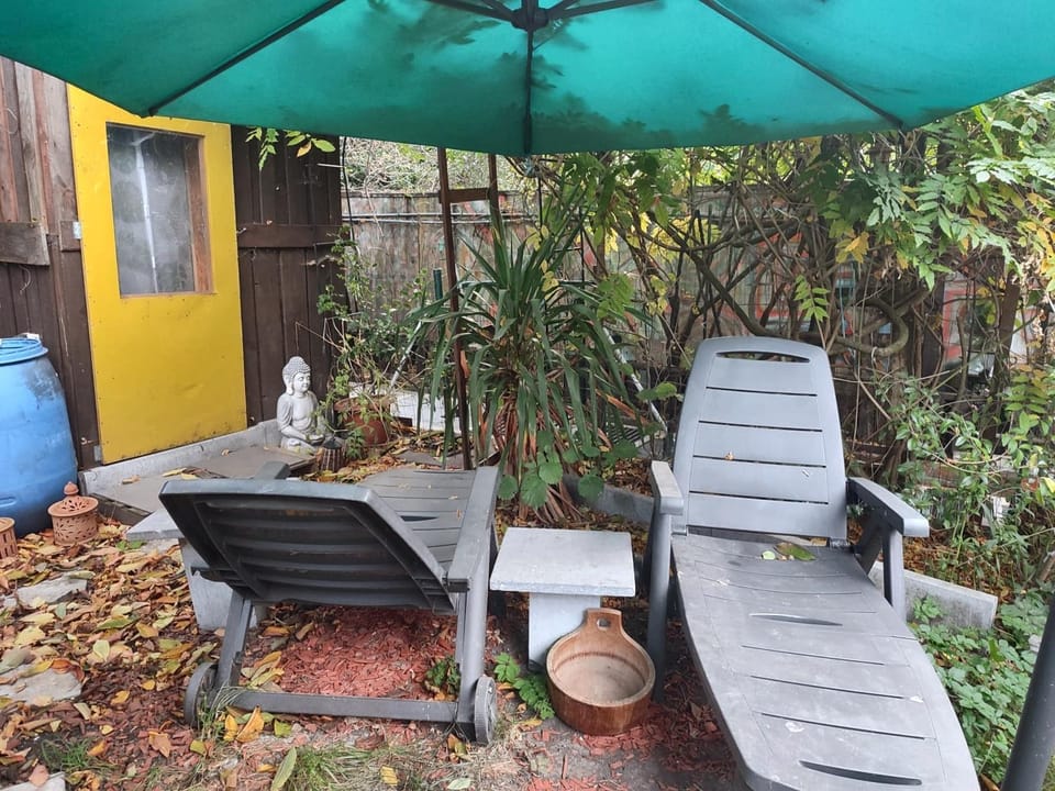 Garden view