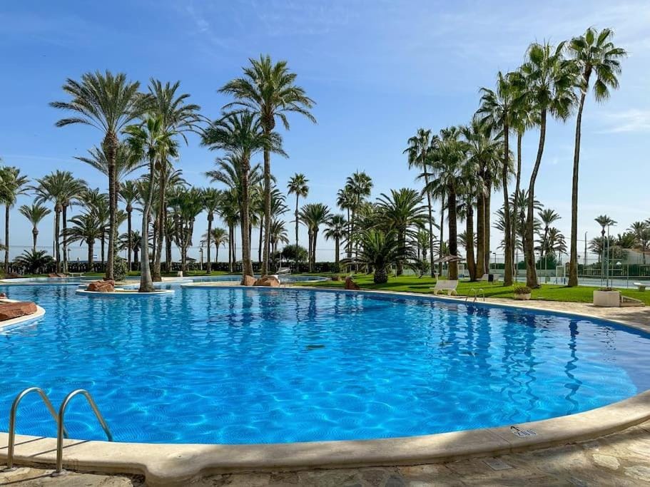 Garden, Pool view, Swimming pool
