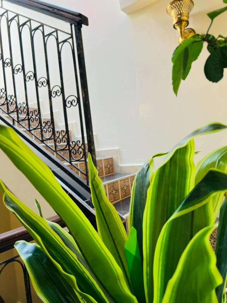 Riad MS holidays terrasse privatisé Marrakech Apartment in Marrakesh