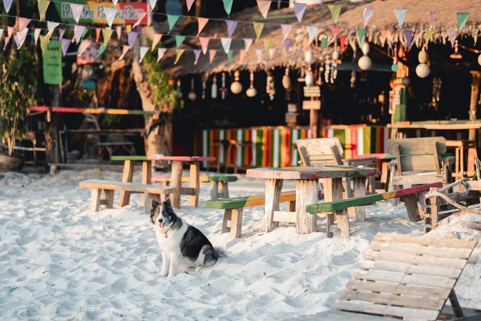 Rasta Baby Bar & Bungalows - Suitable for young travelers Vacation rental in Ko Phayam