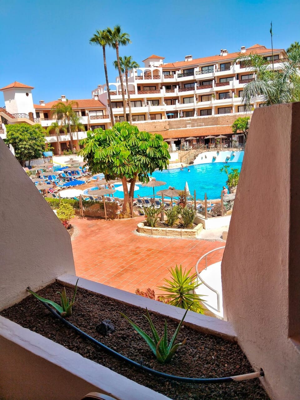 View (from property/room), Swimming pool, Swimming pool, Swimming pool, Inner courtyard view
