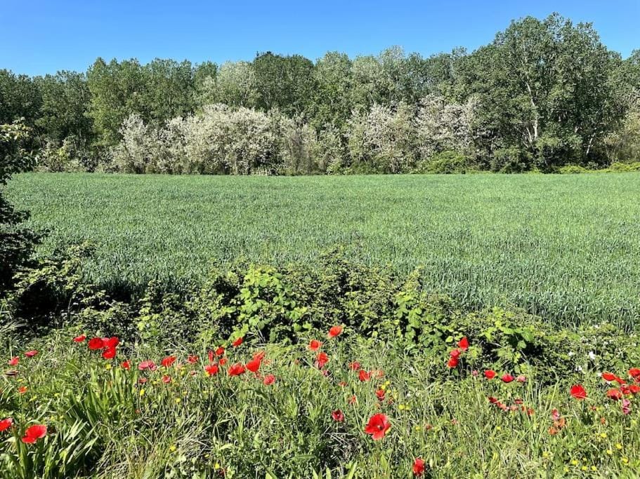 Timeless Elegance Villa in Tuscany