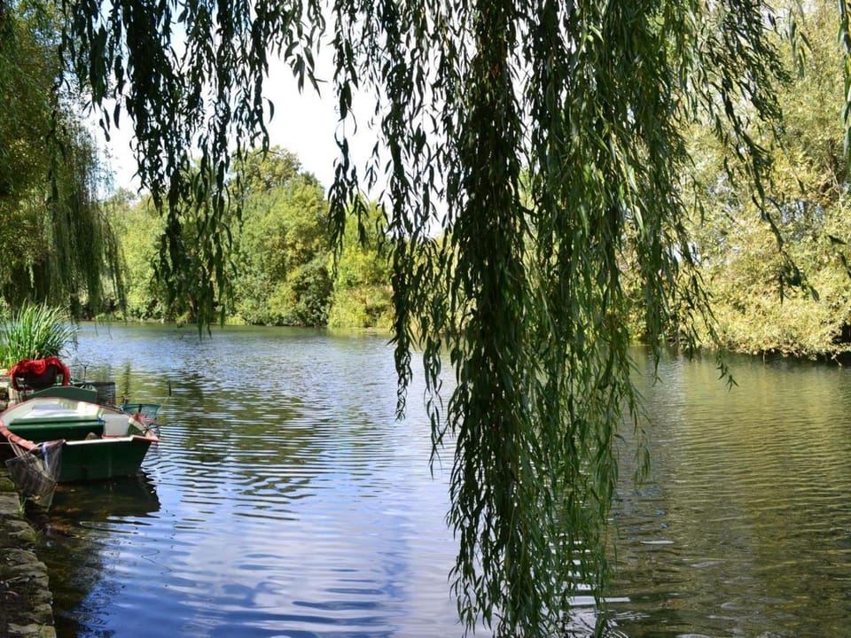 Charmant gîte au bord de la rivière avec jardin et wifi - FR-1-653-162 House in Nouvelle-Aquitaine