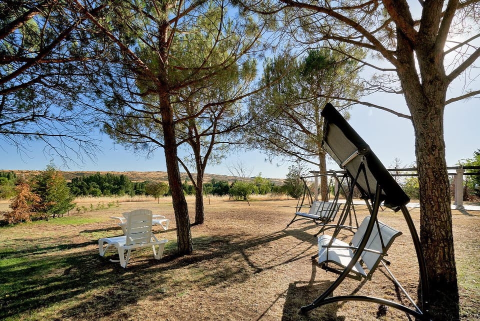 Children play ground, Garden, Garden view