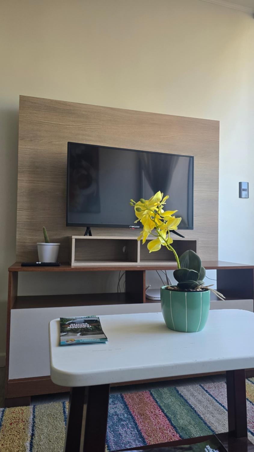 Acogedor Apartamento Constitucion Apartment in Constitucion
