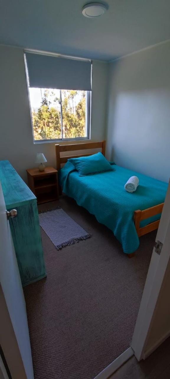 Acogedor Apartamento Constitucion Apartment in Constitucion