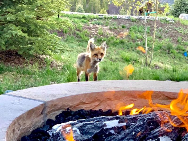 GORGEOUS modern estate private ski SHUTTLE! Hot Tub, hiking trail to town, fire pit, even a SONIC ice maker!! House in Breckenridge