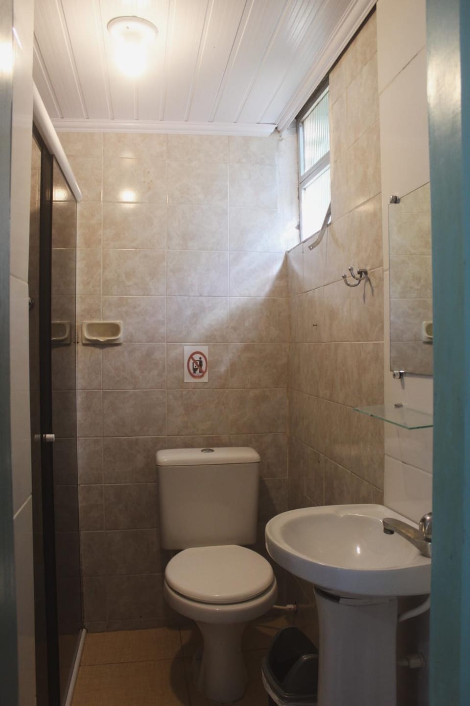 Toilet, Other